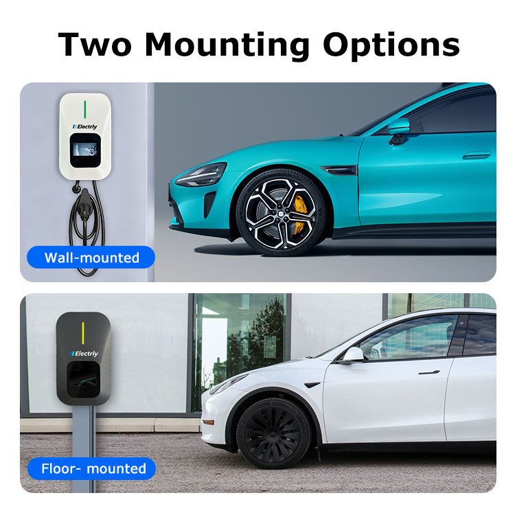 Two Mounting Options