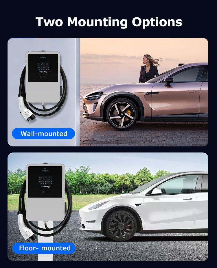 Two Mounting Options