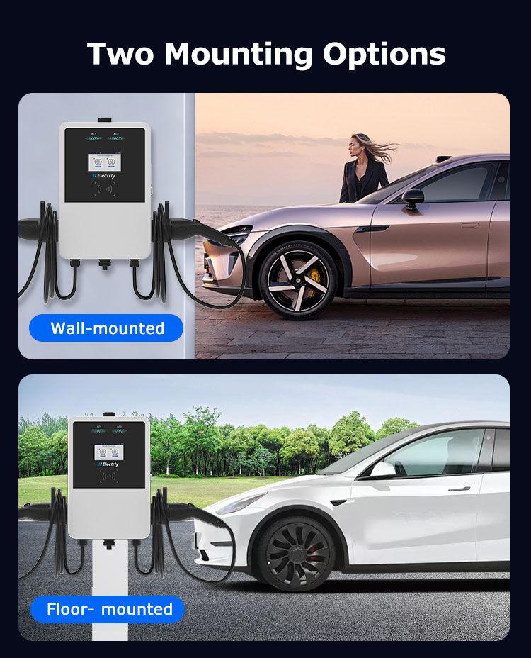 Two Mounting Options