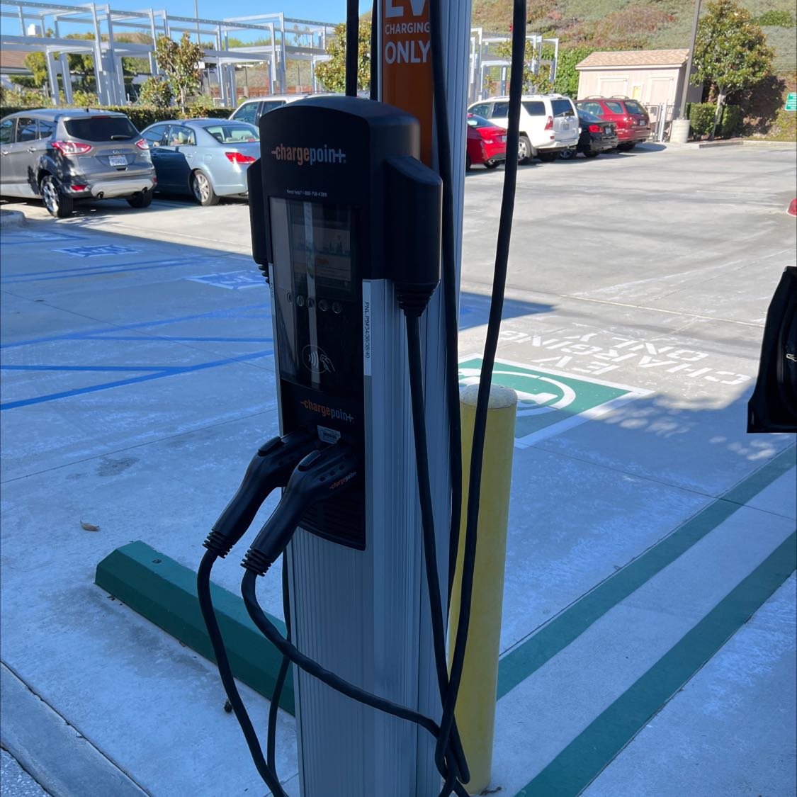 801 Narcissus Avenue-1