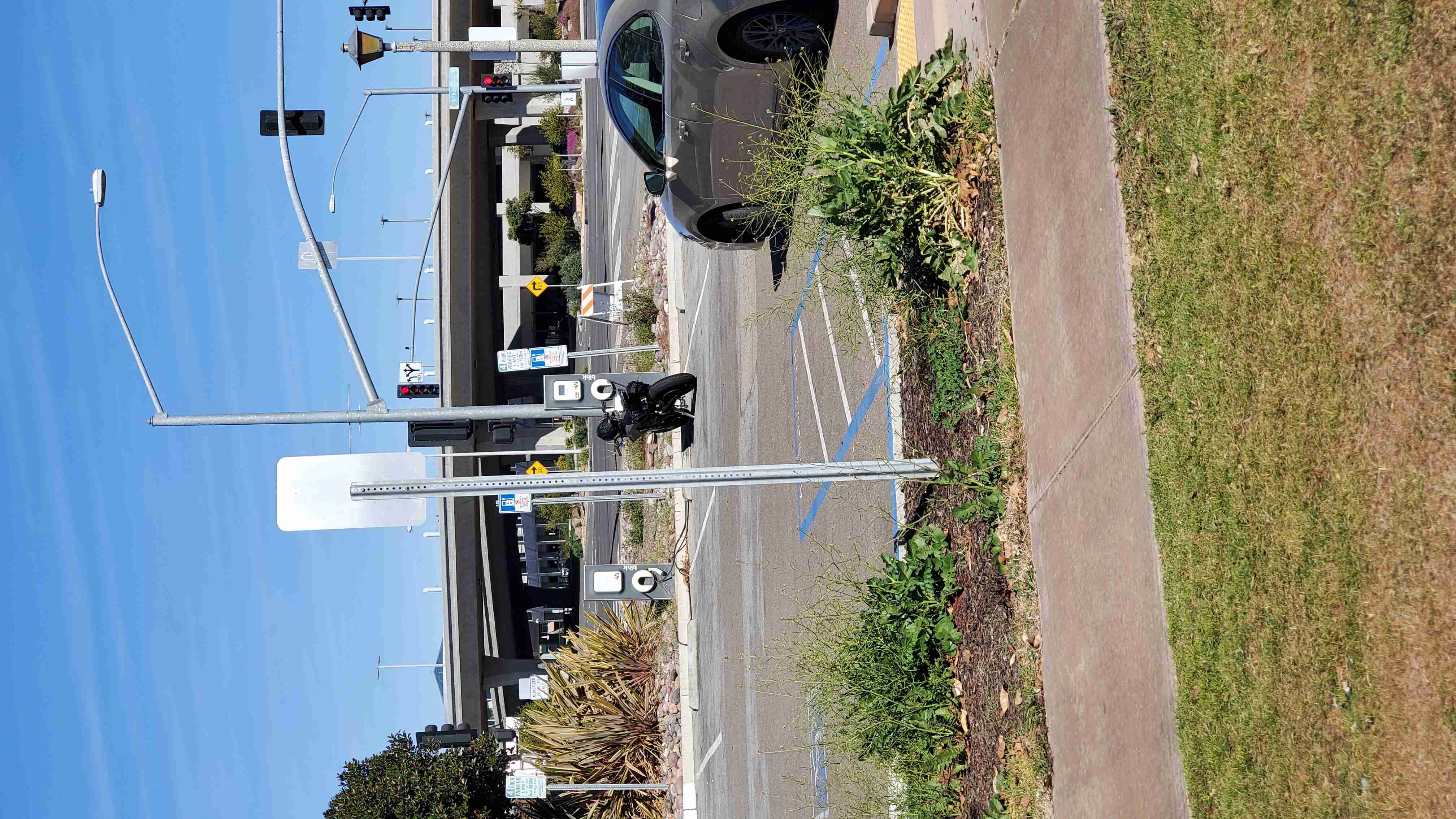 Paradise Point Resort Spa-1