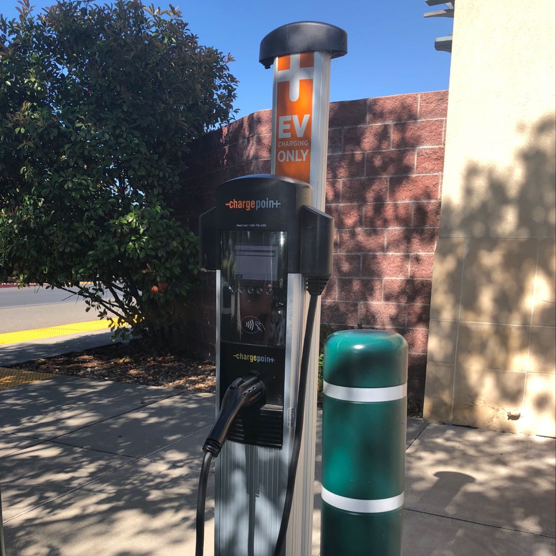 Walgreens - Elk Grove Florin Road-1